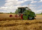 Claas Drescher 20
